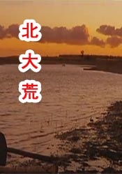 翁与小莹早晨厨房欢爱第十部